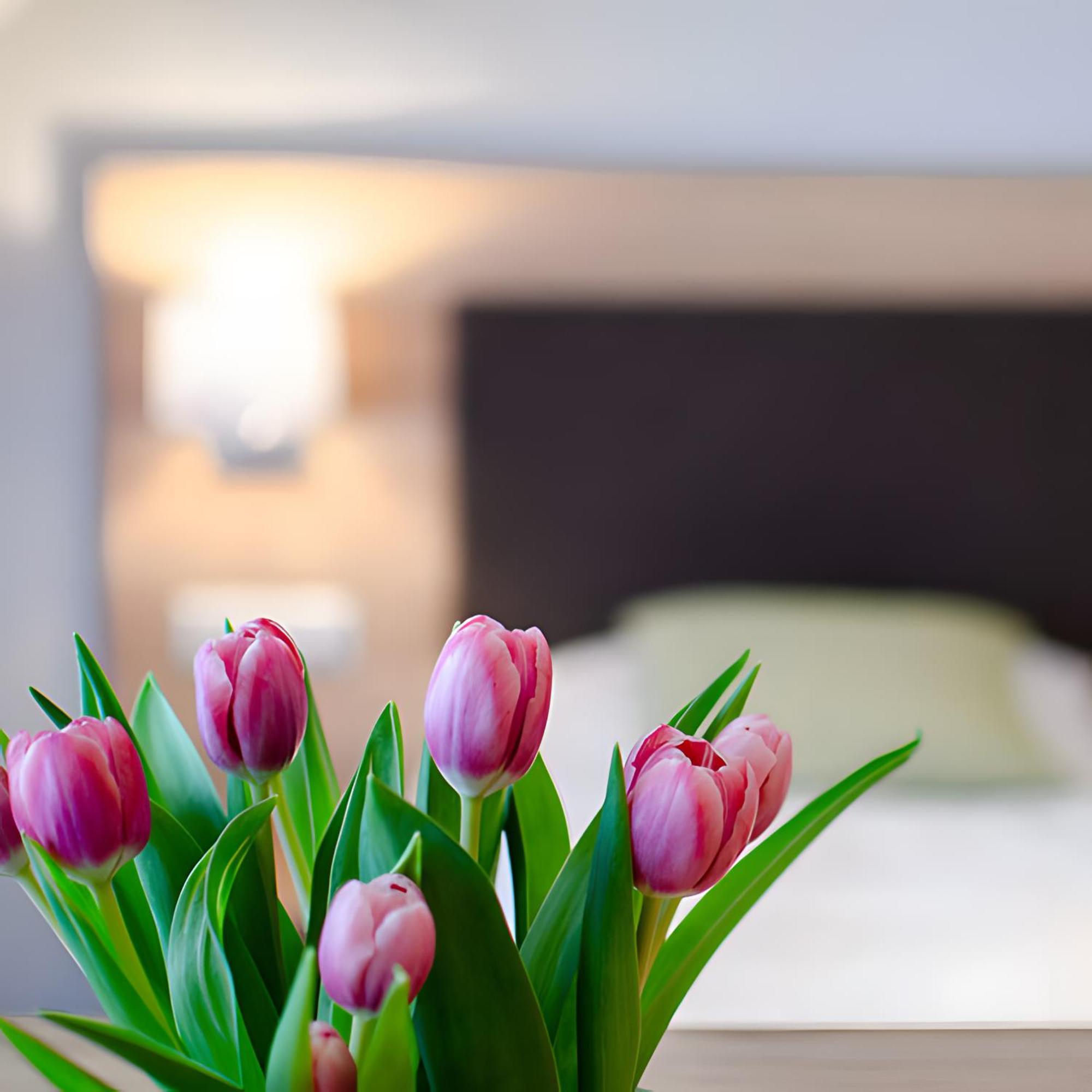 Appartements 'In Vino Veritas' Haslach im Kinzigtal Zewnętrze zdjęcie